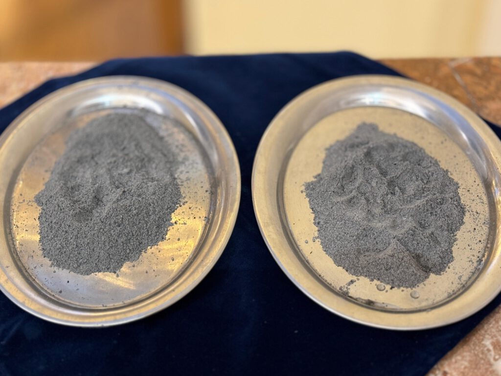 PHOTO-2026-02-19-22-50-29